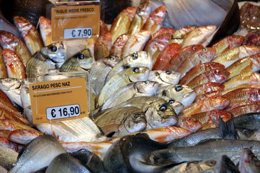 Consumi/ Coldiretti: Da agosto stop pesce fresco, c'è fermo pesca