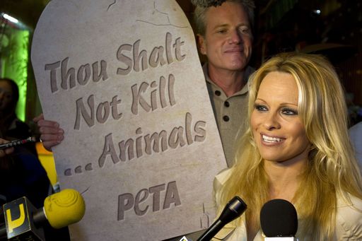 TV/ Tara Reid e Pamela Anderson per