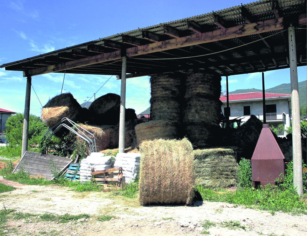 Rotoballa, fu omicidio colposo