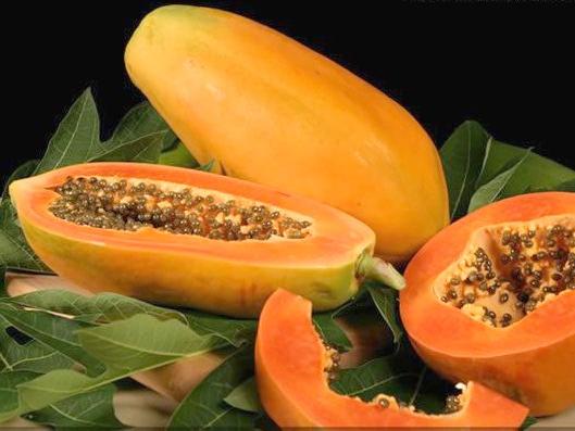 Hiv e Parkinson: papaya meno