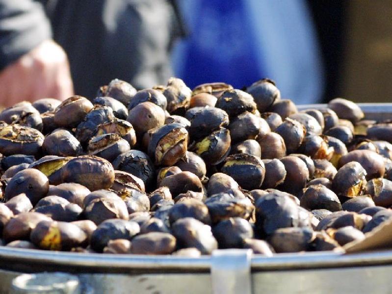 Autunno da assaggiare