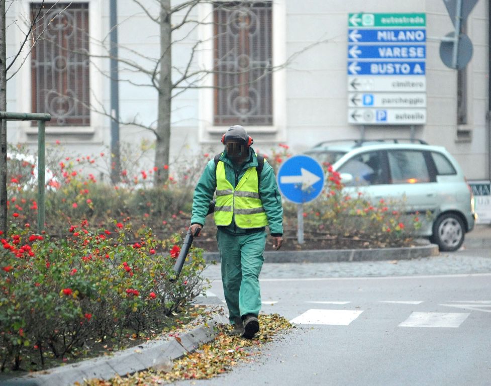 Spazzini col mal di soffiatore