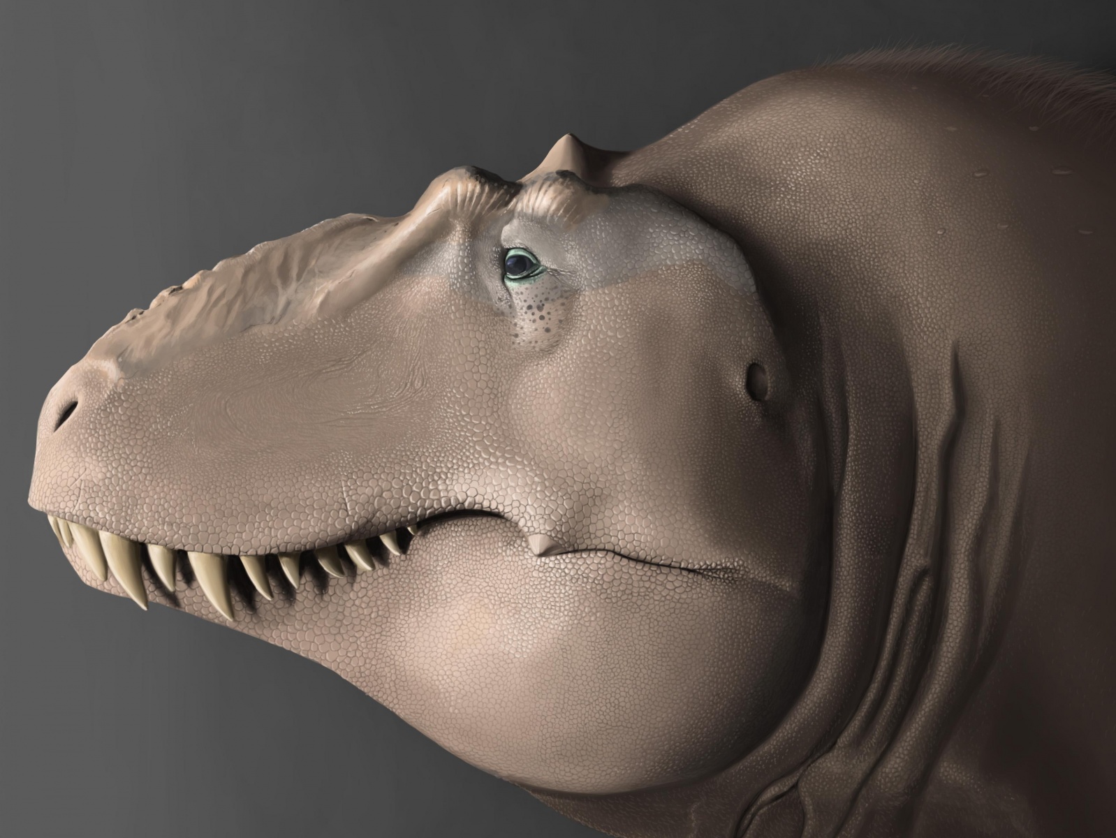 Fantastici dinosauri dei paleoartisti