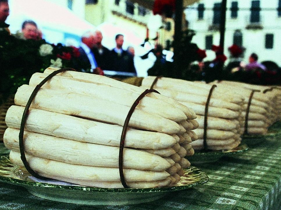 La grande famiglia degli asparagi