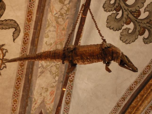 C'è un coccodrillo al Sacro Monte