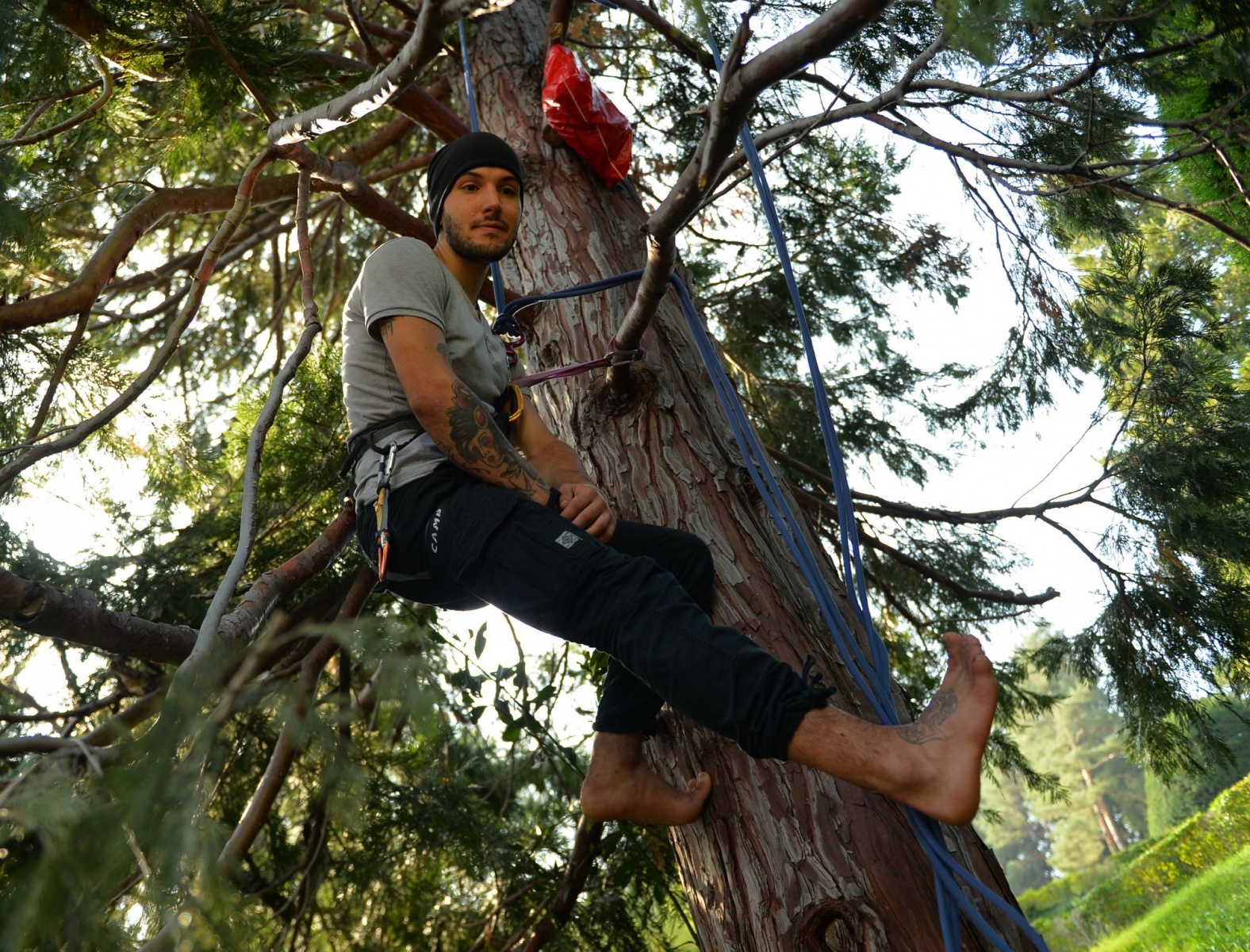 15 domande a Michele Forzinetti