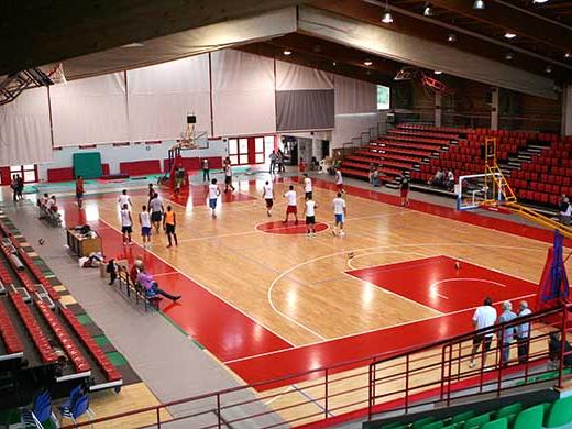 Il Palaborsani versione basket