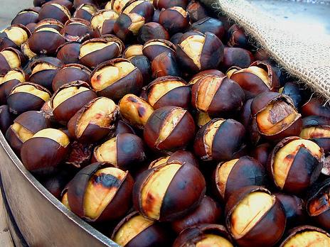 Weekend piovoso. Tutti al museo