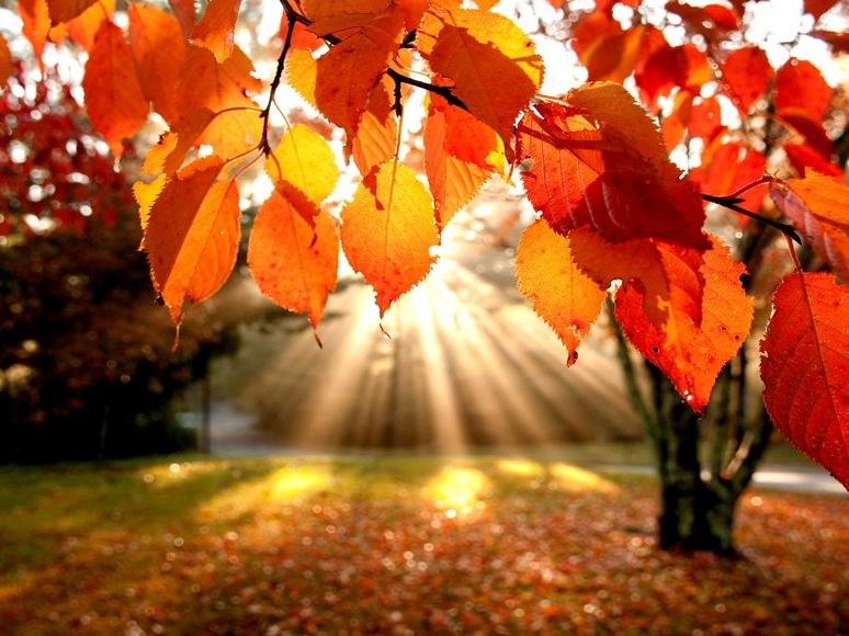Un estivo weekend d'autunno