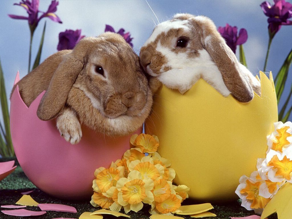 Pasqua
