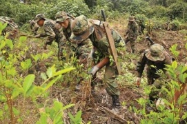 Perù: Sendero Luminoso, schiavi bambini per il narcotraffico
