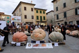 Viene da Messina la zucca più grande d'Italia: pesa 482 kg
