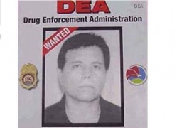 El Mayo Zambada, erede del Chapo a capo cartello di Sinaloa