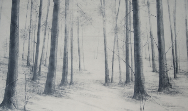 «Tempo degli alberi»  (2015) di Marika Vicari