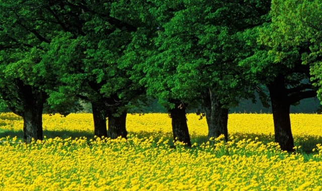 Aspettando la primavera