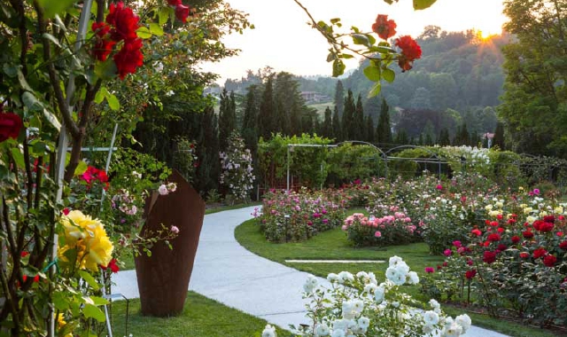 Maggio, esplosione di fiori e colori (Foto Archivio)