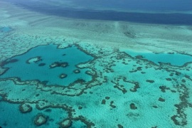 Sbiancamento barriera corallina, cataclisma raggiunge Maldive