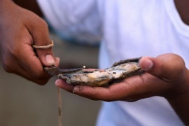 Filippine, umile pescatore trova la perla più grande del mondo