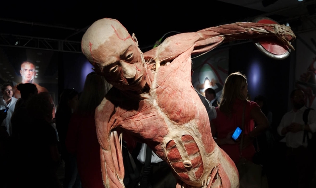 Corpi morti in mostra per divulgare anatomia e prevenzione