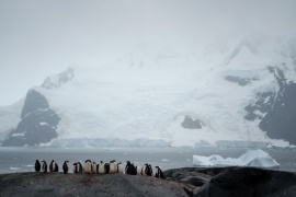 Antartide, 5 cose da sapere su riserva marina più grande al mondo