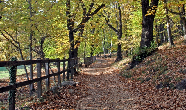 In alto, il sentiero numero10 all’interno del Parco del Campo dei Fiori. A sinistra, uno scorcio di Villa Litta a Lainate (foto di Giovanni Chiodini)