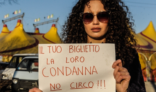 Protesta animalista con cartelloni davanti al circo