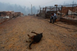 Cile, incendi: distrutti interi villaggi, dieci morti