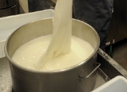 Falsa mozzarella Dop, nell'impasto soda caustica e latte infetto