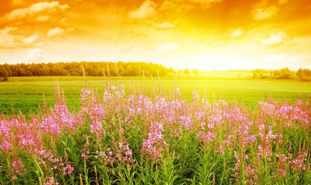 Anticipo di primavera