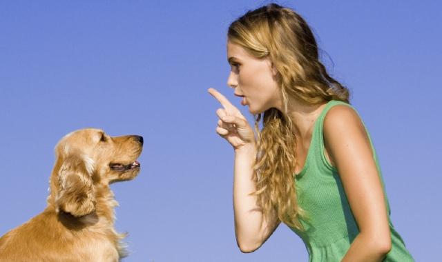 Parlare ai cani come ai bimbi funziona, se cuccioli