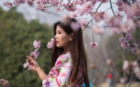 Equinozio di primavera, in Giappone è una festa nazionale