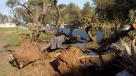 Puglia, blitz dei No Tap: barricate agli accessi al cantiere
