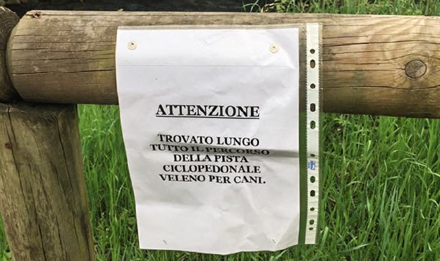 Polpette avvelenate per cani
