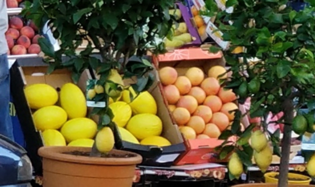 Cristina Ventura, titolare del Yoshi’s Fruit di piazza Risorgimento, denuncia l’esposizione di frutta sul marciapiede da parte dei suoi colleghi stranieri