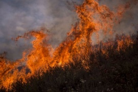 L'Ovest americano in preda agli incendi, Los Angeles assediata