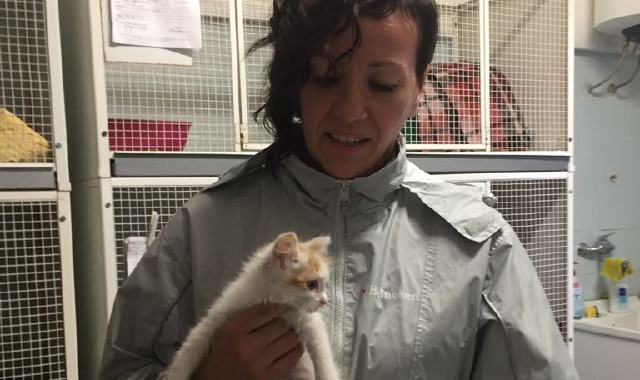Una volontaria insieme a Piuma, la gattina che è stata raccolta, ferita e curata (Redazione)