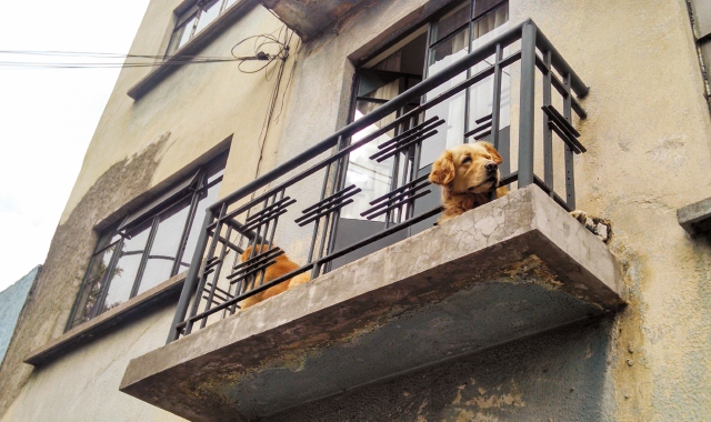 L’estate di Sos Cani sul balcone