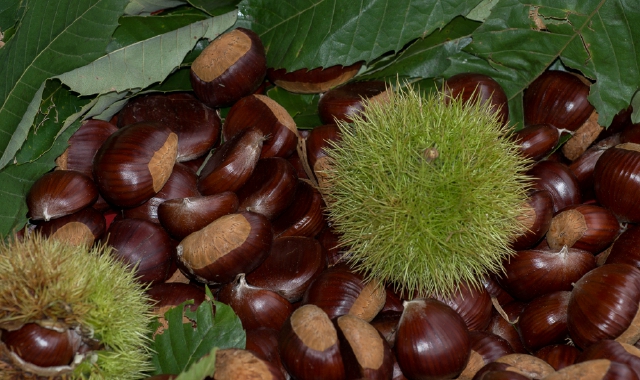 Poche nubi, feste e castagne
