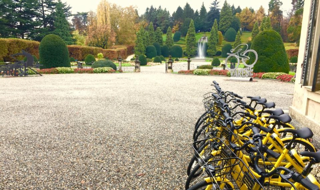 Le biciclette gialle di Ofo per il bike sharing a flusso continuo