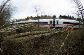 Tempesta Friederike sferza Europa: 8 morti e caos nei trasporti