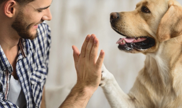 Tumori: un aiuto può arrivare da Fido