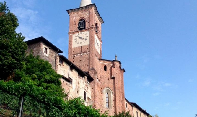 I terrazzamenti della storica vigna della Collegiata sono tornati a produrre dell’ottimo vino grazie a una sinergia tra il museo e un vignaiolo