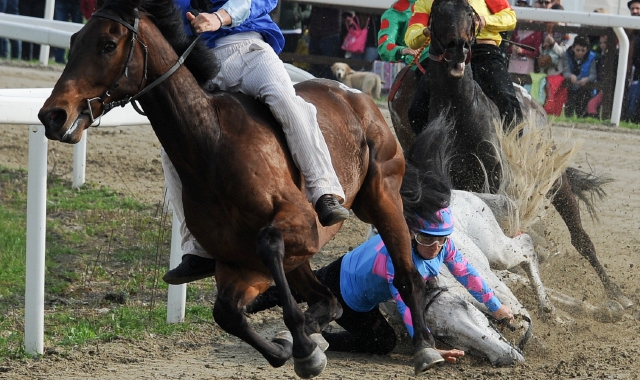 Il momento in cui inizia la caduta: due fantini sono finiti in ospedale e un cavallo è poi stato soppresso