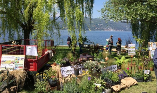 Ispra diventa il giardino dell’Eden 3