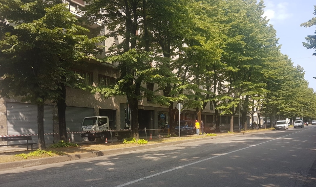 I tigli di viale Duca d’Aosta