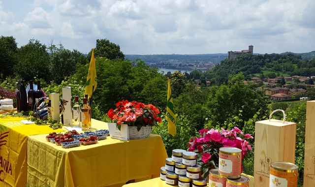 Bellezze naturali ed eccellenze enogastronomiche per il rilancio del Varesotto