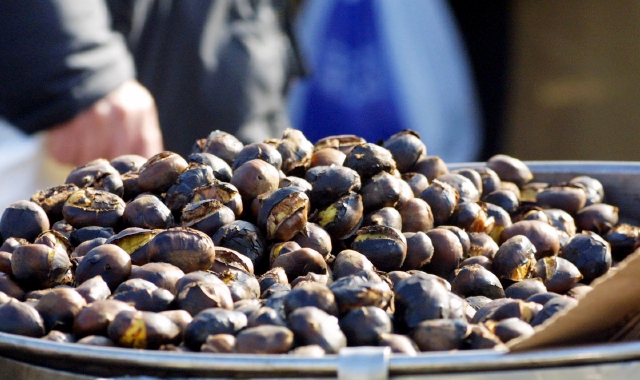 Vino, castagne e Max Pisu