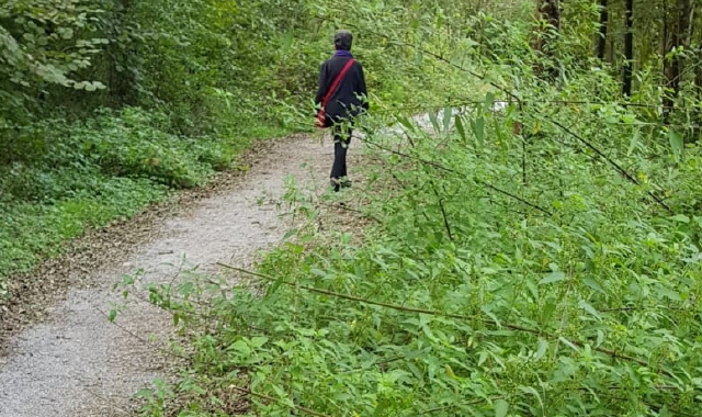 Le condizioni della pista ciclopedonale nel territorio di Cazzago Brabbia