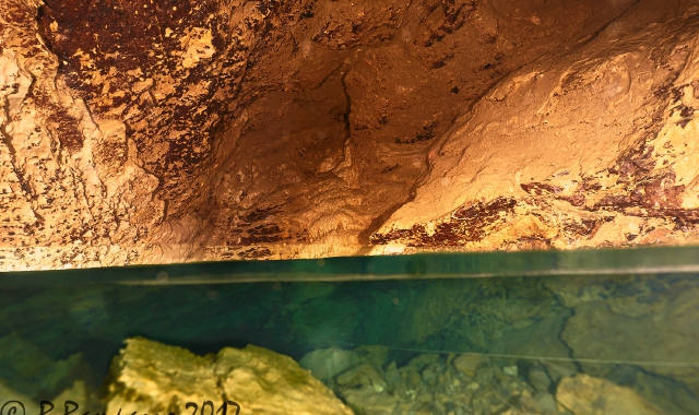 Viaggio sotterraneo in grotte e “piscine”