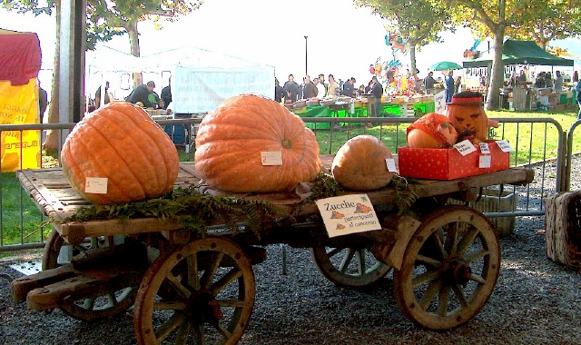 Zucche, mercatini, cultura. E ora legale